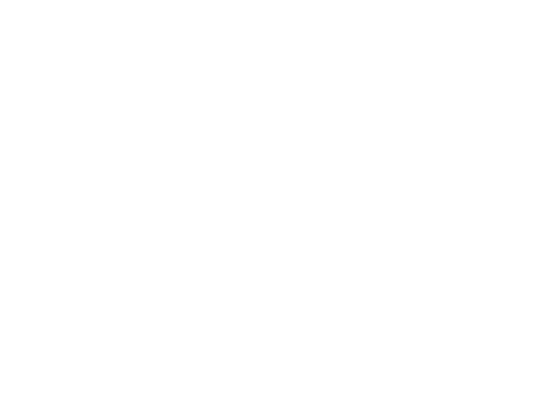 IQGeo Meetup 2026 – Logo in Weiß 