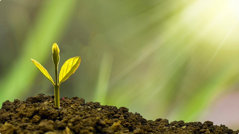 Value Prop - eine Grundlage für Wachstum schaffen