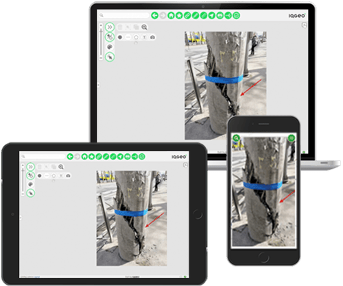 IQGeo-geospatiale-software-erfasst-daten-im-feld