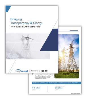IQGeo-Whitepaper-Für-Transparenz-und-Klarheit-Miniaturansicht-306x353 (1)