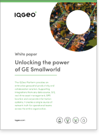 Entfaltung der Leistungsfähigkeit von GE Smallworld white paper