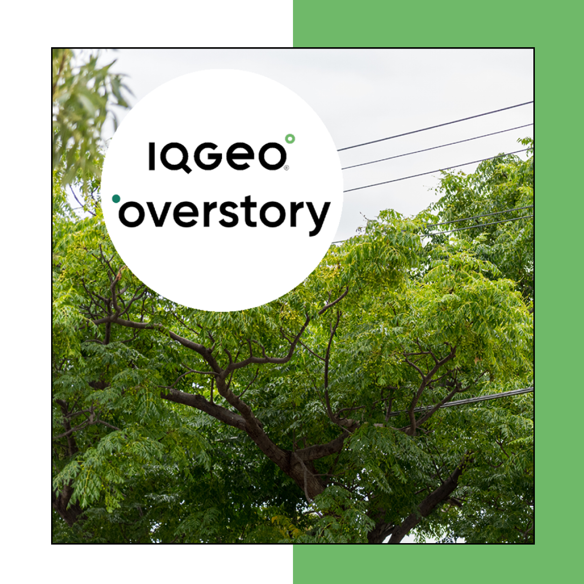 IQGeo_Overstory_Partner