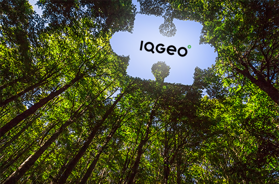 Das IQGeo-Partner-Ökosystem